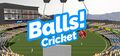 Balls! virtual reality cricket1.jpg